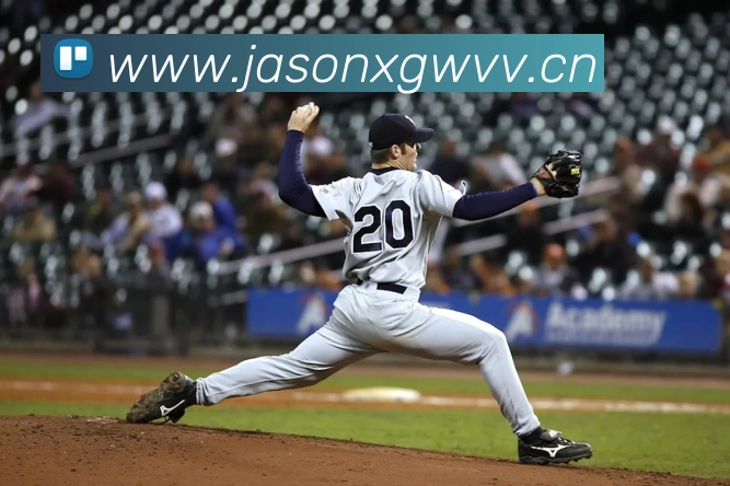 云开体育app官网服务体系